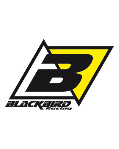 Selle Moto BLACKBIRD Selle complète BLACKBIRD Pyramide Color +15mm