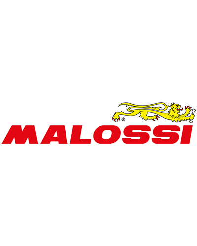 Ressort Embrayage Moto MALOSSI Muelle contraste embrague Malossi Extra reforzado Rojo Yamaha BWS/AEROX/NEOS/JOG